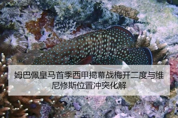 姆巴佩皇马首季西甲揭幕战梅开二度与维尼修斯位置冲突化解